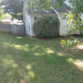 Bush Trimming by Hammond lawncare reviewed on October 5, 2024