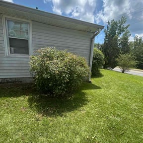 Bush Trimming by Real Deal Lawn Care LLC reviewed on May 12, 2022