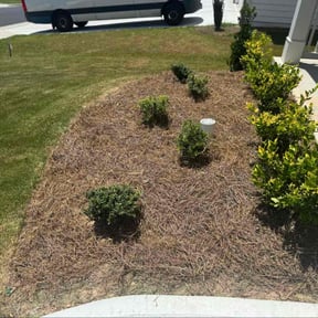 Flower Bed Weeding by Second Glance Landscaping LLC reviewed on April 17, 2025