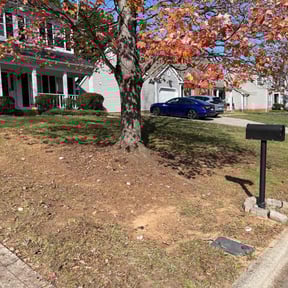 Leaf Removal by Yoshiro's Landscaping reviewed on April 7, 2022