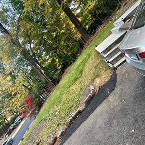 Leaf Removal by T.R. Integrated Services reviewed on July 14, 2022