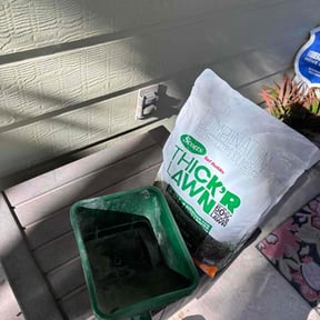 Lawn Seeding by Kent Lawn Salon reviewed on July 6, 2022