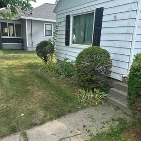 Bush Trimming by Landscapers reviewed on December 10, 2024