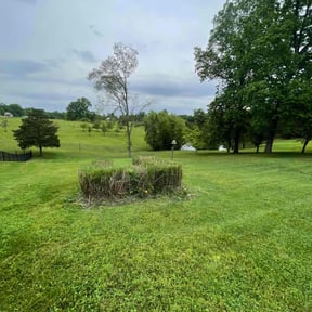 Bush Trimming by TJ Lawn Care reviewed on August 7, 2025