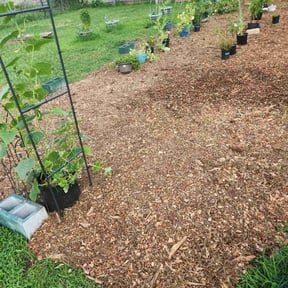 Mulching by D&K Lawn Specialist reviewed on August 8, 2022