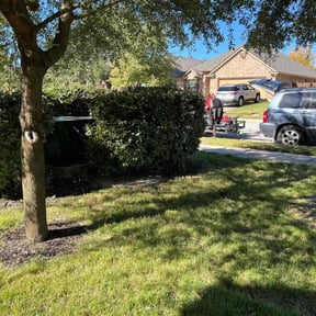 Bush Trimming by Ledezma reviewed on July 18, 2024