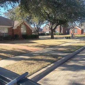 Leaf Removal by Diego Mojica Lawn Care reviewed on May 31, 2022