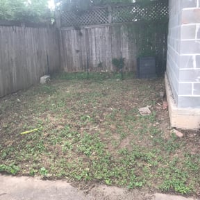 Landscaping by The Swole Life Corporation dba Swole & Bold Lawn Grooming reviewed on April 10, 2025