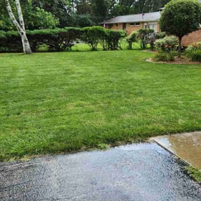 Bush Trimming by Krispy Kutz LLC reviewed on June 30, 2025