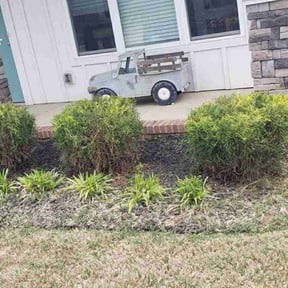 Bush Trimming by Tjs Luxury Lawnservice reviewed on May 31, 2022