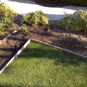 Bush Trimming by Green Prairie Landscaping reviewed on July 11, 2022