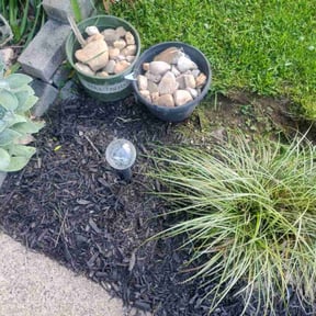 Flower Bed Weeding by Gro.. Lawncare and landscaping reviewed on June 22, 2022