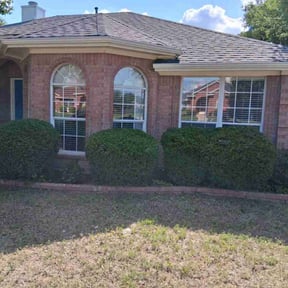 Bush Trimming by CDK Transport Logistics LLC reviewed on June 23, 2022