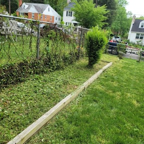Bush Trimming by Blue Diamond Cleaning Services reviewed on May 31, 2022