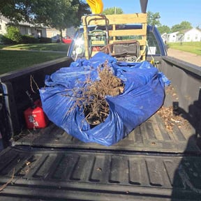 Cleanups by Rise Lawn Care reviewed on August 8, 2025