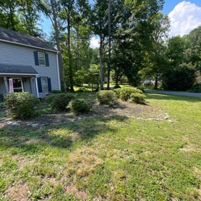 Bush Trimming by Rodriguez Lawn Care LLC reviewed on June 6, 2022