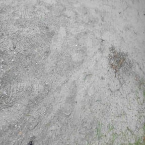 Leaf Removal by Prime Landscaping reviewed on June 1, 2022