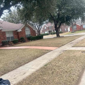 Leaf Removal by Agprolawn reviewed on May 27, 2022