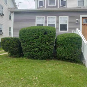 Bush Trimming by Brothers Homecare LLC reviewed on May 18, 2022