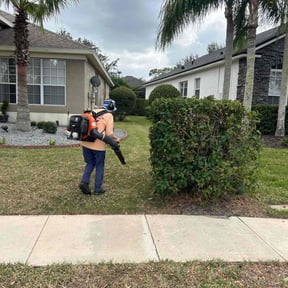 Bush Trimming by Victoria Landscaping, LLc reviewed on April 19, 2022
