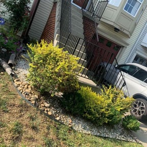 Cleanups by Jose Landscaping. reviewed on June 19, 2025