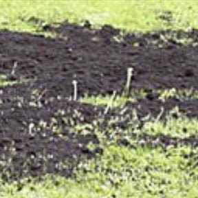 Lawn Seeding by VonBerge Family Lawncare reviewed on November 15, 2024