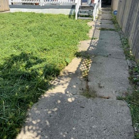 Cleanups by Howards Elite Lawn Care and Landscaping reviewed on May 1, 2025