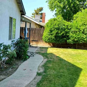 Bush Trimming by Accel property development reviewed on November 9, 2021