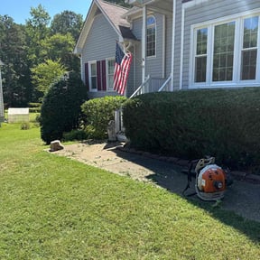 Bush Trimming by ESPINOSA JE LANDSCAPING LLC reviewed on June 17, 2022