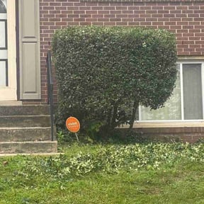 Bush Trimming by Krenik Lawn Services reviewed on April 28, 2025
