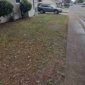 Cleanups by Aee handymany services reviewed on November 30, 2024