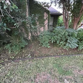 Cleanups by LSLTDallas/FortWorthTruGreen reviewed on July 27, 2023