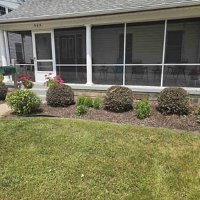 Bush Trimming by Y and J Landscaping reviewed on December 1, 2023