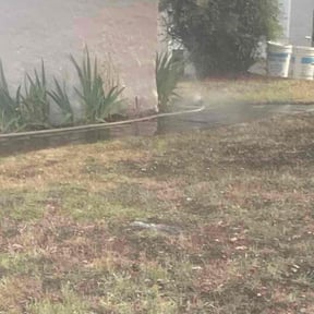 Cleanups by Tony’s Lawn Care reviewed on December 4, 2021