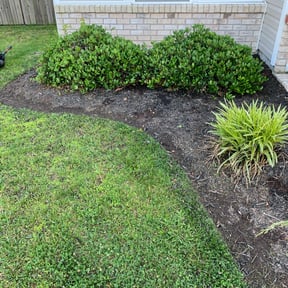 Flower Bed Weeding by ST. JAMES PROFESSIONAL SERVICES GROUP LLC reviewed on September 22, 2024
