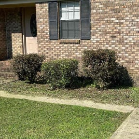 Bush Trimming by Gaston S Lawn Care reviewed on July 7, 2025