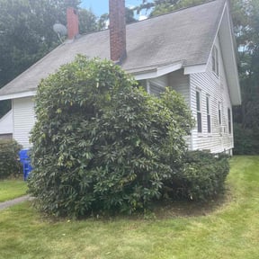 Bush Trimming by Davis Lawn Care Services LLC reviewed on April 26, 2022
