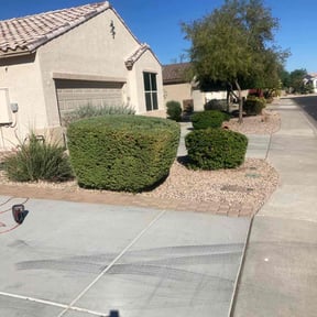 Bush Trimming by Beautiful Home Services reviewed on July 28, 2022