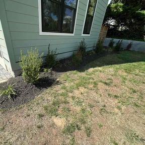 Flower Bed Weeding by HQ Lawn Service reviewed on June 18, 2025