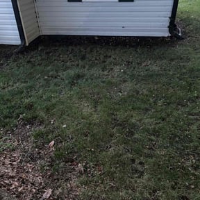 Cleanups by Super Mario Cutz reviewed on August 16, 2024