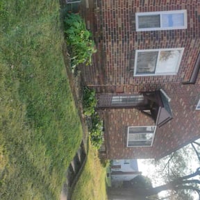 Landscaping by Mo Mowing & Yard Clean Up reviewed on October 4, 2024