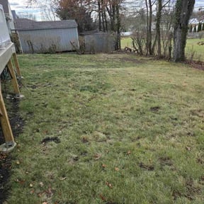 Leaf Removal by Wesleybrother lawn care reviewed on June 11, 2022