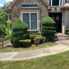 Bush Trimming by Hammond lawncare reviewed on October 5, 2024