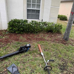 Bush Trimming by Sun's Lawn Care LLC. reviewed on February 2, 2022