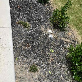 Flower Bed Weeding by Go Green Garza Solutions reviewed on March 12, 2025