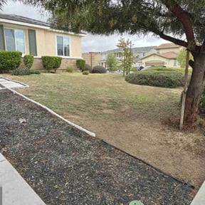 Bush Trimming by Duartes Lawn Service reviewed on July 21, 2020