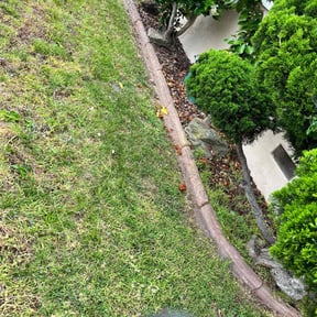 Bush Trimming by Terra Verde Landscape & Design reviewed on July 8, 2025