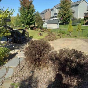 Bush Trimming by SM Lawn Services reviewed on September 16, 2021