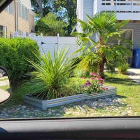 Flower Bed Weeding by Veteran Roots reviewed on January 10, 2025