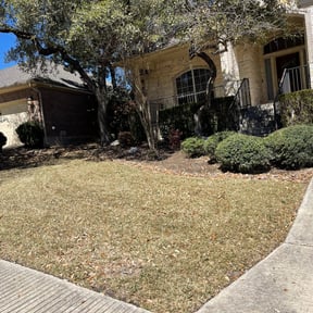 Bush Trimming by Mac&#039;s Property Detail reviewed on January 23, 2025